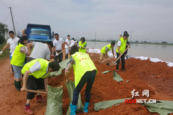 【洪水中的脊梁】长沙县抗洪一线非公党组织党旗高扬